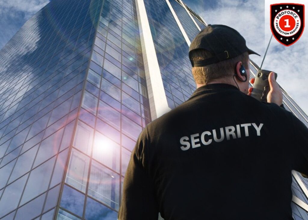 Security Person Image From Proforce1